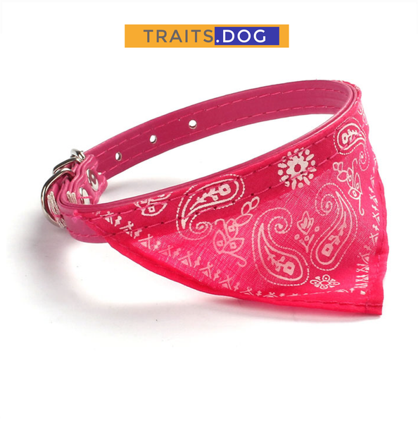Classic American Paisley Dog Bandana Collar XX-Small to X-Large