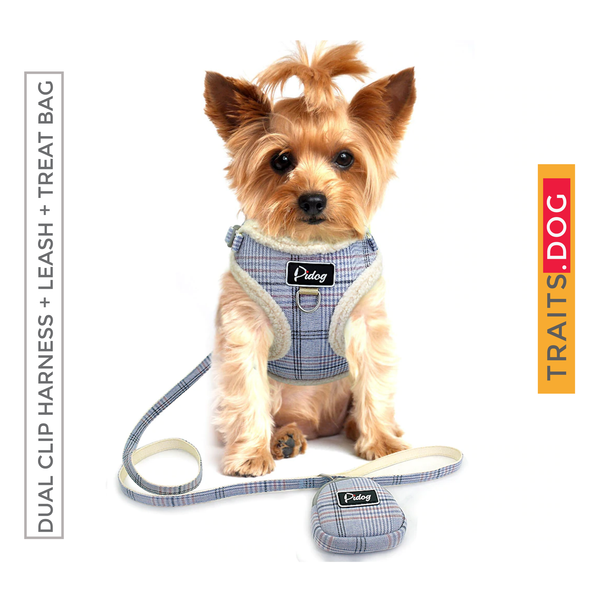 Preppy Puppy - Dual Clip Plaid Harness with Leash and Treat Zip Bag Set