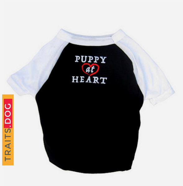 PUPPY AT HEART - Dog's T-shirt