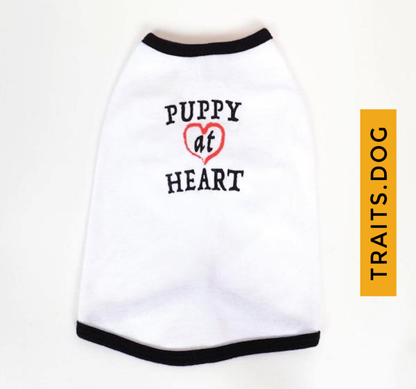 PUPPY AT HEART - Dog's Cotton T-shirt
