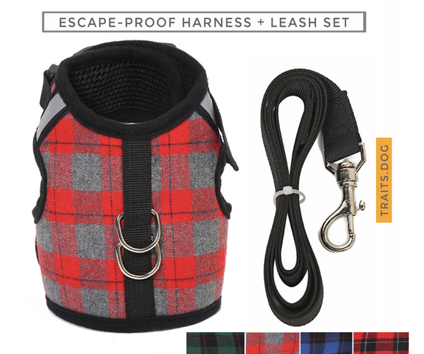 Naughty Plaid Adjustable Harness and Leash with Escape Proof Buckle for Dog and Cat