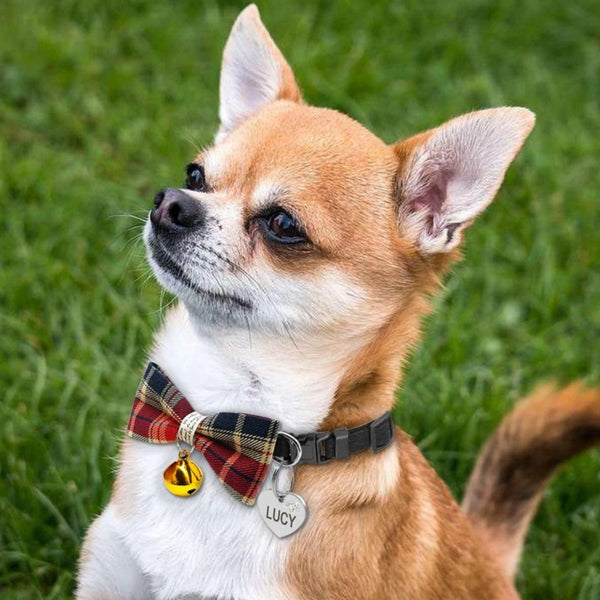 A beautifully handmade Classic Plaid Bowtie collar for your small dog, cat or other four-legged friend: perfect for special occasions, decorated with a cute bell, makes your pup pop at any celebration, wedding or get together.
