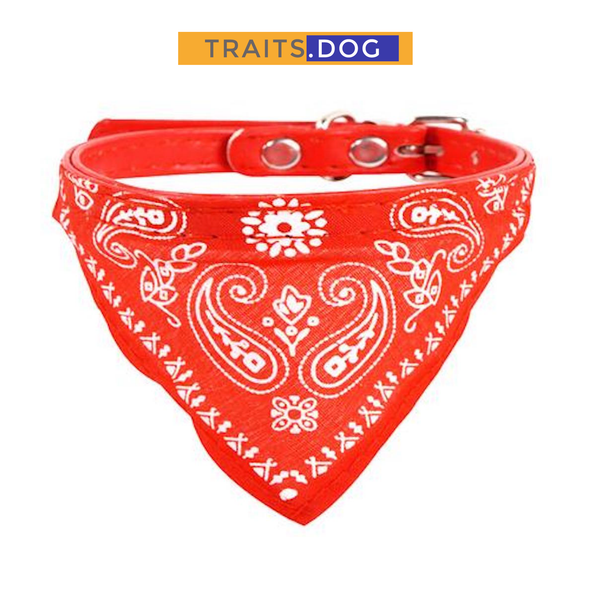 Classic American Paisley Dog Bandana Collar XX-Small to X-Large