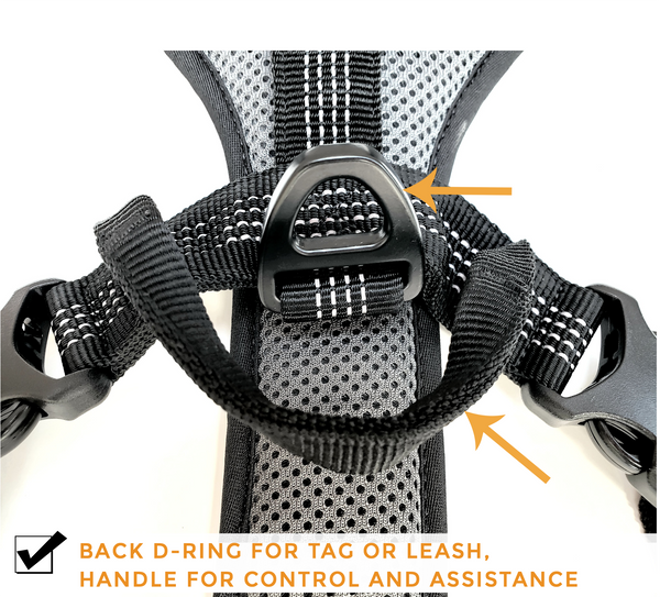 Reflect-To-Protect-Outdoor All Reflective, Dual Clip Dog Vest Harness with Handle and Leash for Larger Breeds