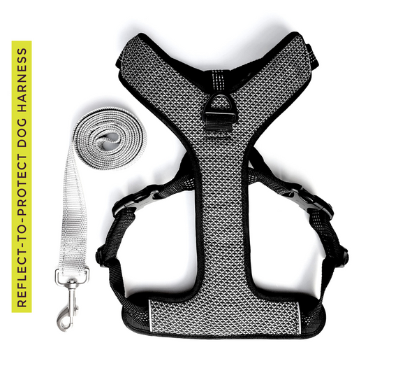 Reflect-To-Protect-Outdoor All Reflective, Dual Clip Dog Vest Harness with Handle and Leash for Larger Breeds