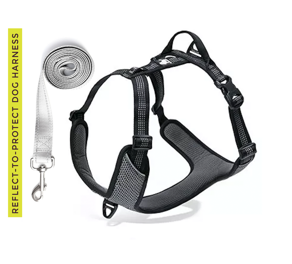 Reflect-To-Protect-Outdoor All Reflective, Dual Clip Dog Vest Harness with Handle and Leash for Larger Breeds