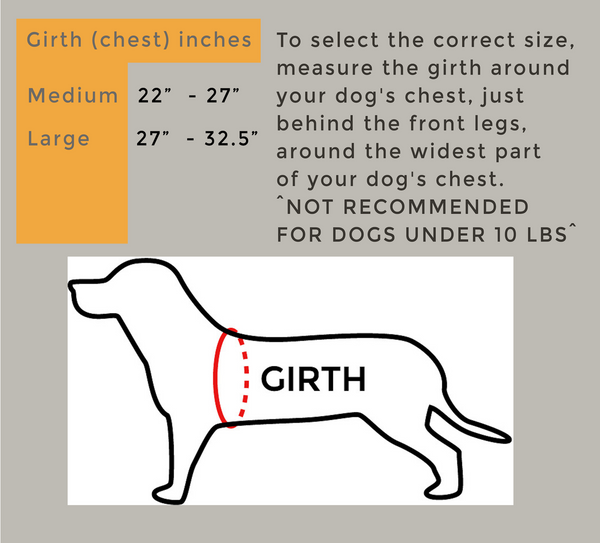 Reflect-To-Protect-Outdoor All Reflective, Dual Clip Dog Vest Harness with Handle and Leash for Larger Breeds