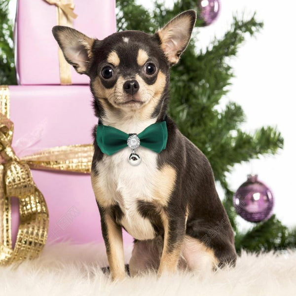 Handmade Satin Bowtie Dog Cat Collar with Pearls and Rhinestones. Makes your pup pop at any celebration, wedding or get together.