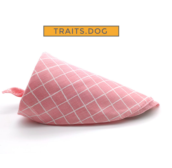 Playtime Dog or Cat Bandana Scarf for Small Breeds