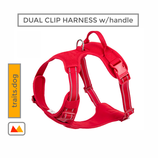 Show-Stopper - Reflective Dog's Vest Dual Clip Harness with Handle and Leash