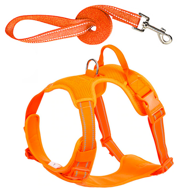 Well-constructed Reflective, Dual Clip Vest Dog's harness with Handle and Leash are made of premium quality, weatherproof materials and durable hardware. No Pull, No Choke - Safe, comfortable, convenient and durable for walking, running, hiking and riding in vehicles.
