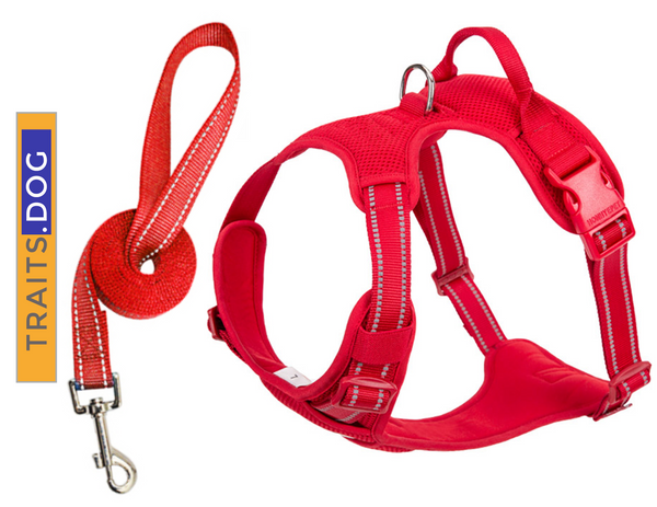 Show-Stopper - Reflective Dog's Vest Dual Clip Harness with Handle and Leash