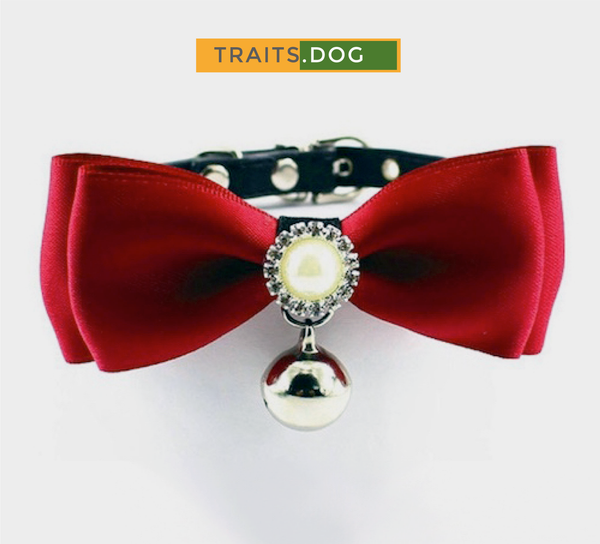 Handmade Satin Bowtie Dog Cat Collar with Pearls and Rhinestones. Makes your pup pop at any celebration, wedding or get together.  Important Info: These collars are meant to be worn as dress-up collars for special occasions or to wear with a regular collar or a harness. We strongly advise you DO NOT use them as walking collars, the metal loops are meant for ID tags and may break if attached to a lead.