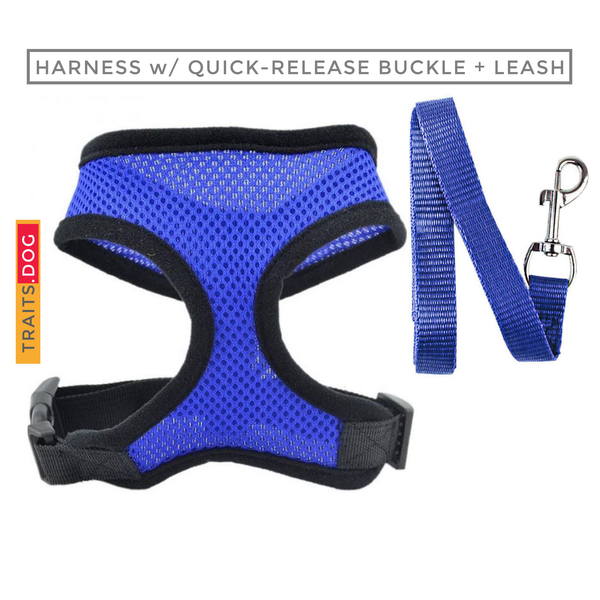 Summer Breeze - Dog Cat Vest Harness and Leash Set for Small Breeds