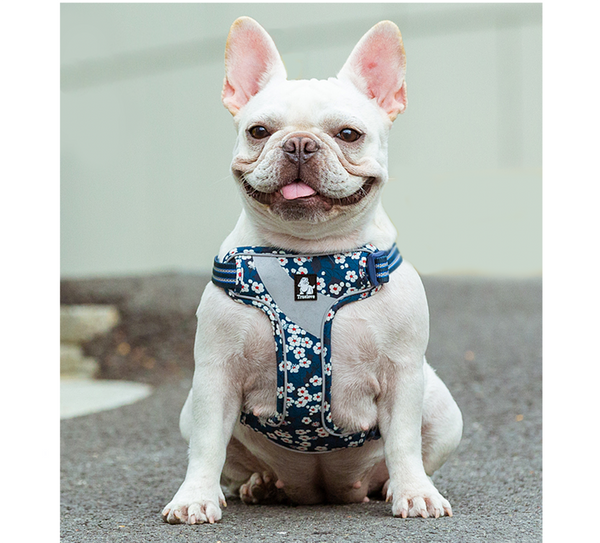 FlowerUp Your Pup - Reflective Dog Cat Vest Harness with Leash