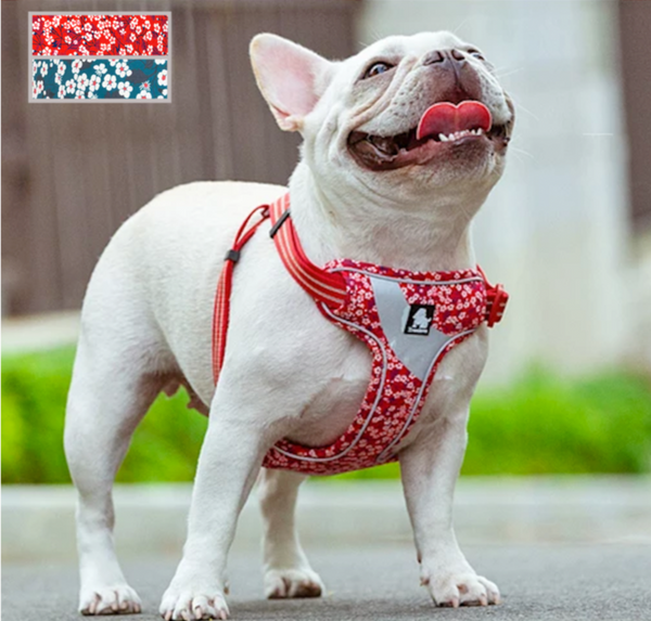 FlowerUp Your Pup - Reflective Dog Cat Vest Harness with Leash
