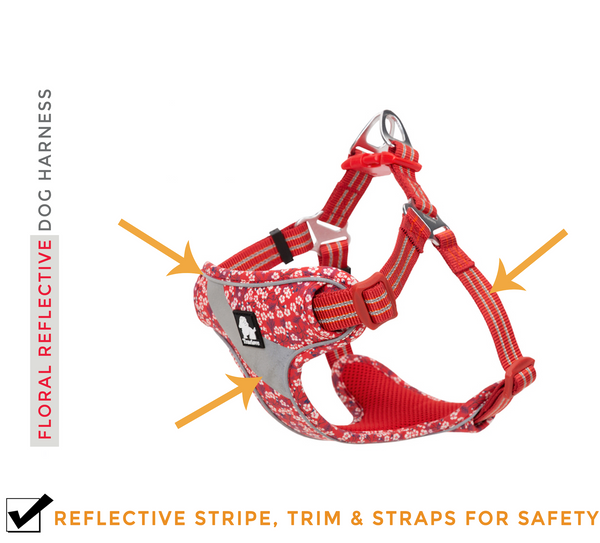 FlowerUp Your Pup - Reflective Dog Cat Vest Harness with Leash