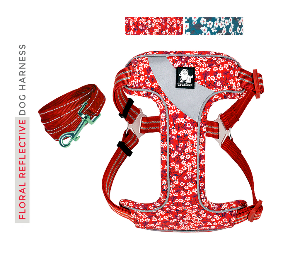FlowerUp Your Pup - Reflective Dog Cat Vest Harness with Leash