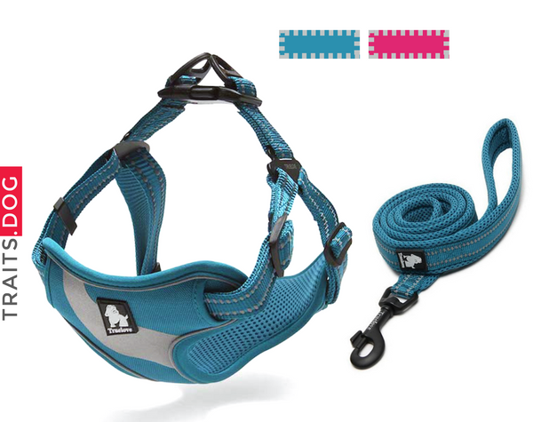 Well-constructed Dog Sport Reflective Vest Harness and Leash are made of premium quality, weatherproof materials and durable hardware. Safe, comfortable, convenient and durable for walking, running, hiking and riding in vehicles. NOT RECOMMENDED FOR DOGS UNDER 10 lbs.