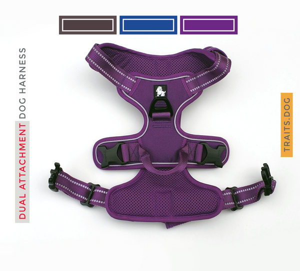 Dual Clip Dog Vest Harness with Handle and Leash - Reflective Weatherproof Harness for Larger Breeds, Dog Sport Harness