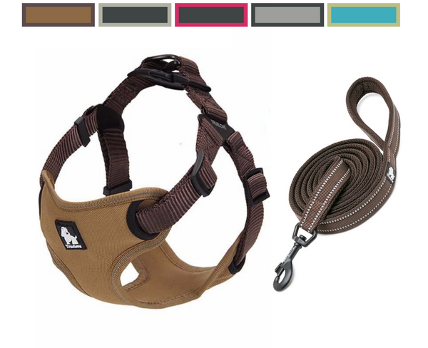 Well-constructed Reflective Dog's Vest sport harness and Leash is made of premium quality, weatherproof materials and durable hardware. No pull, No choke - Safe, comfortable, convenient and durable for walking, running, hiking and riding in vehicles. NOT RECOMMENDED FOR DOGS UNDER 10 lbs.