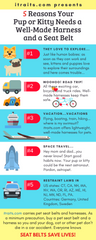 5 reasons you pup or kitty needs a well-made harness and a seat belt
