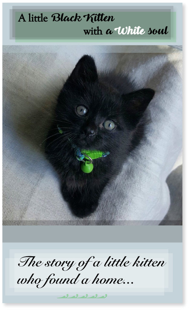 The story of a little black kitten who found a home