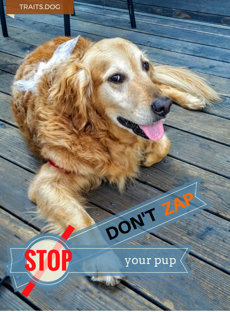 Don't zap your PUP!