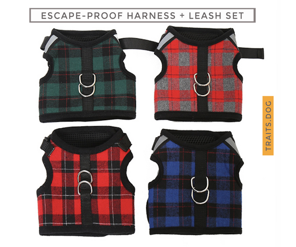 Naughty Plaid Adjustable Harness and Leash with Escape Proof Buckle for Dog and Cat