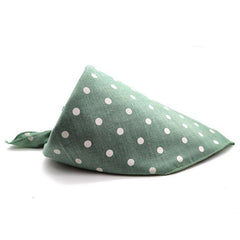 Playtime Dog or Cat Bandana Scarf for Small Breeds