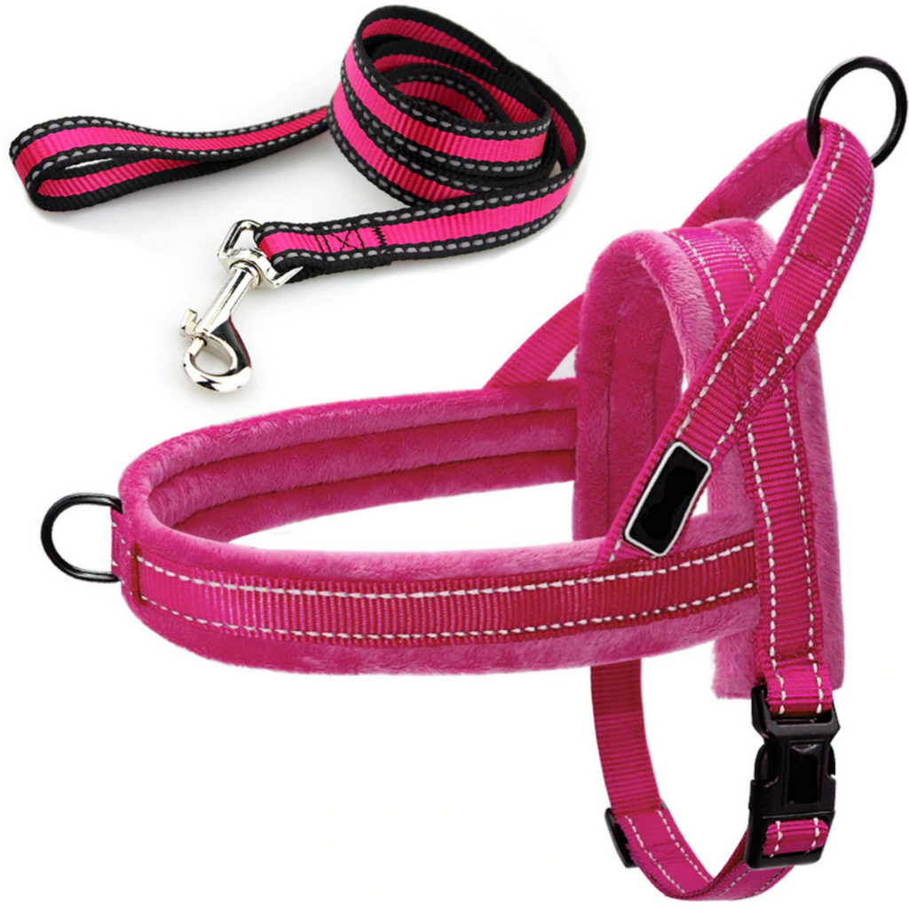 Easy To Walk Set - Reflective Dog or Cat Dual Clip Harness with Soft H –  TRAITS