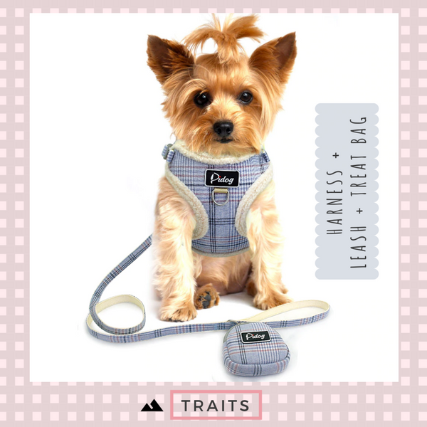 Dual Clip Plaid Harness with Leash and Treat Zip Bag Set - No-Pull, No-Choke with Soft Sherpa Trim for Small dog or cat. 
