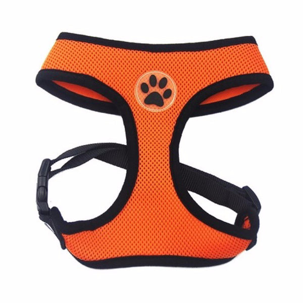 Paw Print - Vest Harness and Leash Set for Small Dog or Cat
