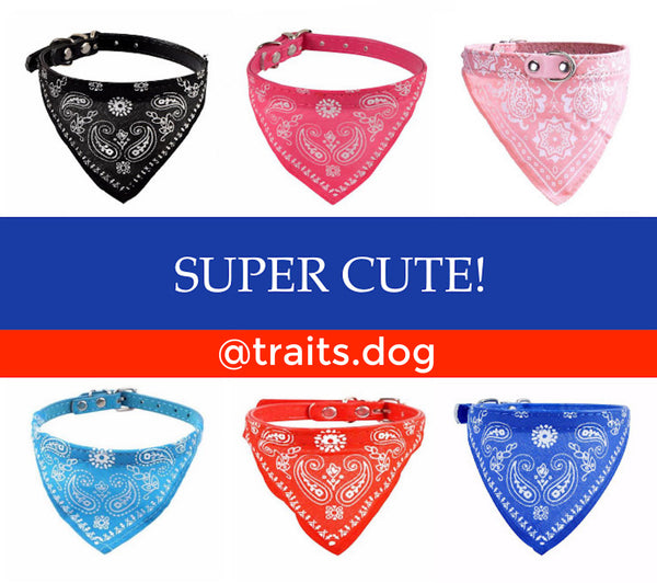 Dogs want to have fun! Get this iconic American "A taste of summer" Paisley Dog Bandana Collar for your pet and take lots of cute photos. Makes great gift for any pet.