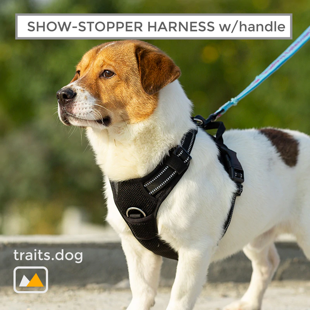 thumbnail image 2 of Medium No-Pull Vest - Adjustable, Reflective, With Handle, Sizes XS To XXL, Pink Dog Harness 2 of 14