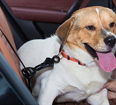 Dog Seat Belt Attachment - Universal Fit, Portable for Medium to Large Dog