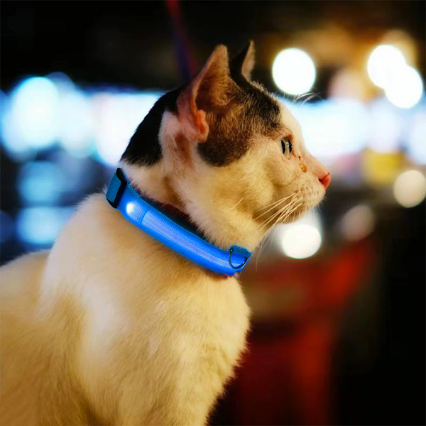 LED Glow Adjustable Dog Cat Collar for night visibility to keep your pet safe from oncoming cars, bicyclists, pedestrians and any outdoor activities. Orange LED collar makes Halloween fun for your Dog!