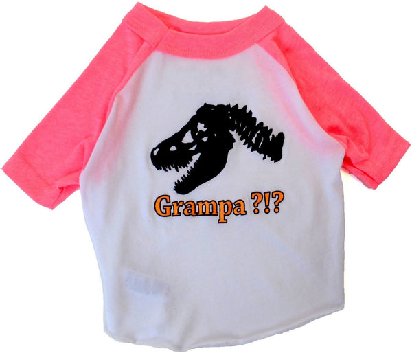 Perfect for your little T. Rex all year round. Soft, superior quality Dog's T-shirt with cute graphic art is made to fit your dog's body comfortably. Bright, fun and adorable.