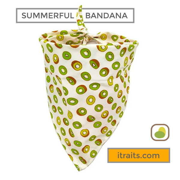 Fun and Summerful Dog or Cat Bandana for Small Breeds. Get a cuteness overload of your pet in this adorable neckwear. Smiles are welcome!