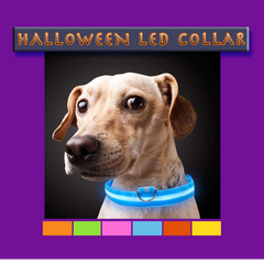 Light Me Up - LED Glow Adjustable Dog Cat Collar for Night Visibility