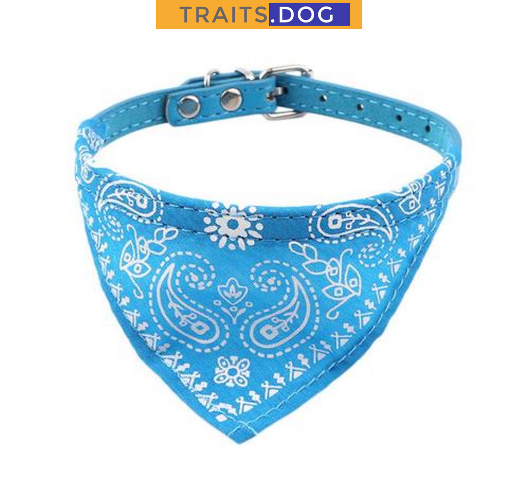Classic American Paisley Dog Bandana Collar XX Small to X Large