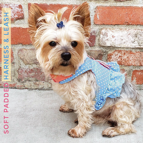Sweet Pea - Soft Padded Vest Harness and Leash Set for Small Dog or Cat is made to distribute the pressure through the chest and shoulders, not on the neck.