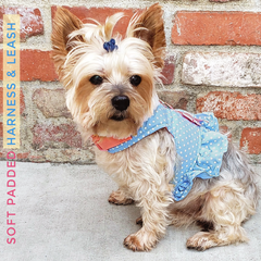 Sweet Pea - Soft Padded Vest Harness and Leash Set for Small Dog or Cat