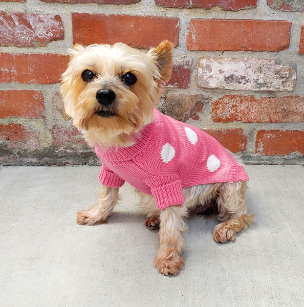 Splendor Dress-Up Set - Pink Polka Dot Dog Cat Sweater and Pearl Collar for Small Pet