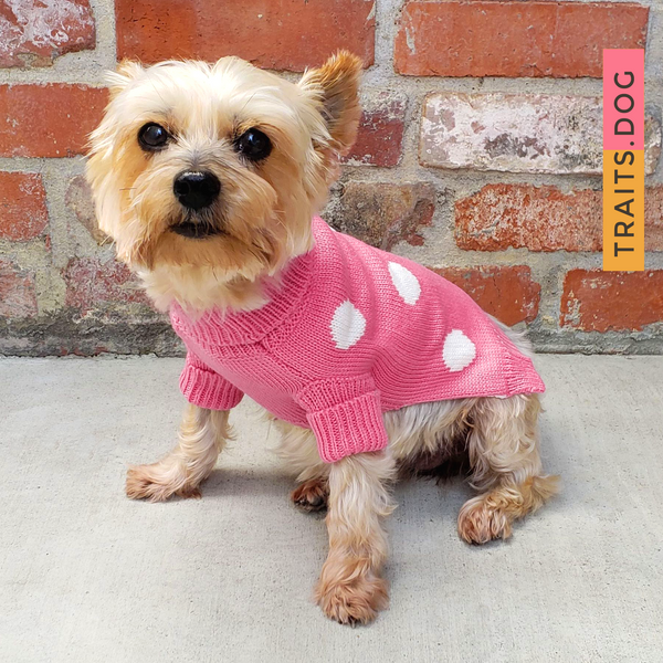 Soft, well-made and adorable Pink Polka Dot Dog Cat Sweater for small breeds. Keeps your dog, cat or other pet warm this holiday season or throughout the year. Comfortable and super cozy fit.