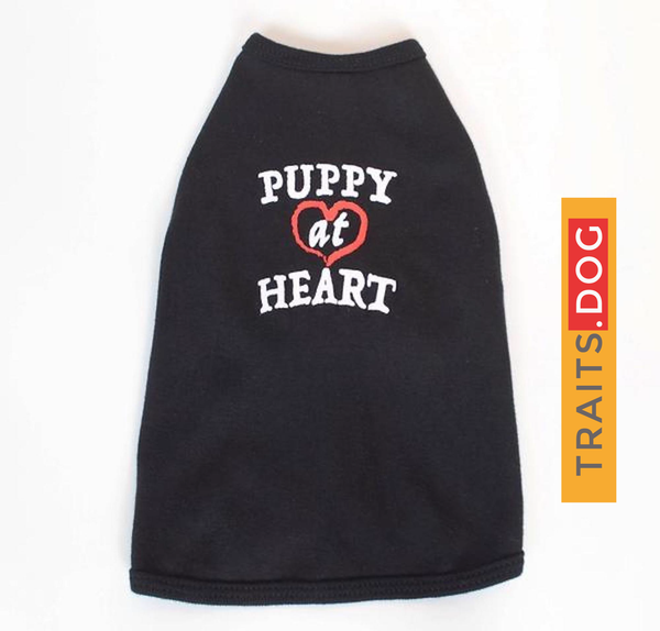 PUPPY AT HEART - Dog's Cotton T-shirt
