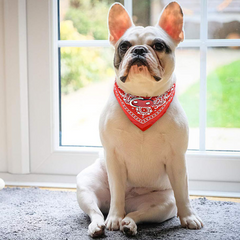 Classic American Paisley Dog Bandana Collar XX-Small to X-Large
