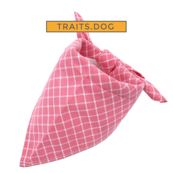 Rose Pink Plaid or Checkered Dog or Cat Bandana Scarf for Small Breeds