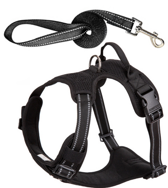 Well-constructed Reflective, Dual Clip Vest Dog's harness with Handle and Leash are made of premium quality, weatherproof materials and durable hardware. No Pull, No Choke - Safe, comfortable, convenient and durable for walking, running, hiking and riding in vehicles.