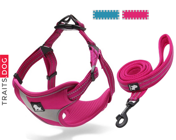 Well-constructed Dog Sport Reflective Vest Harness and Leash are made of premium quality, weatherproof materials and durable hardware. Safe, comfortable, convenient and durable for walking, running, hiking and riding in vehicles. NOT RECOMMENDED FOR DOGS UNDER 10 lbs.